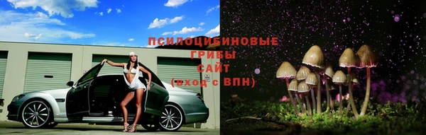 тгк Нея