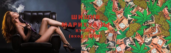 тгк Нея