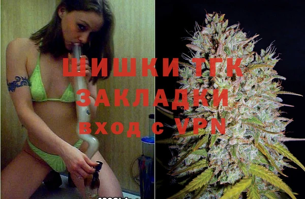 тгк Нея