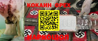 кокс Гатчина