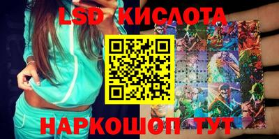 кокс Гатчина