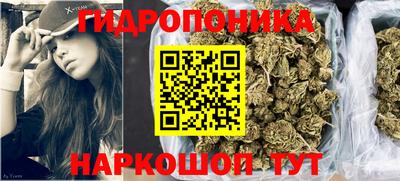 кокс Гатчина