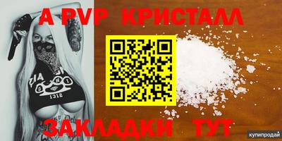 кокс Гатчина