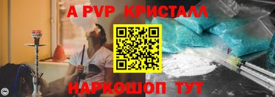 кокс Гатчина