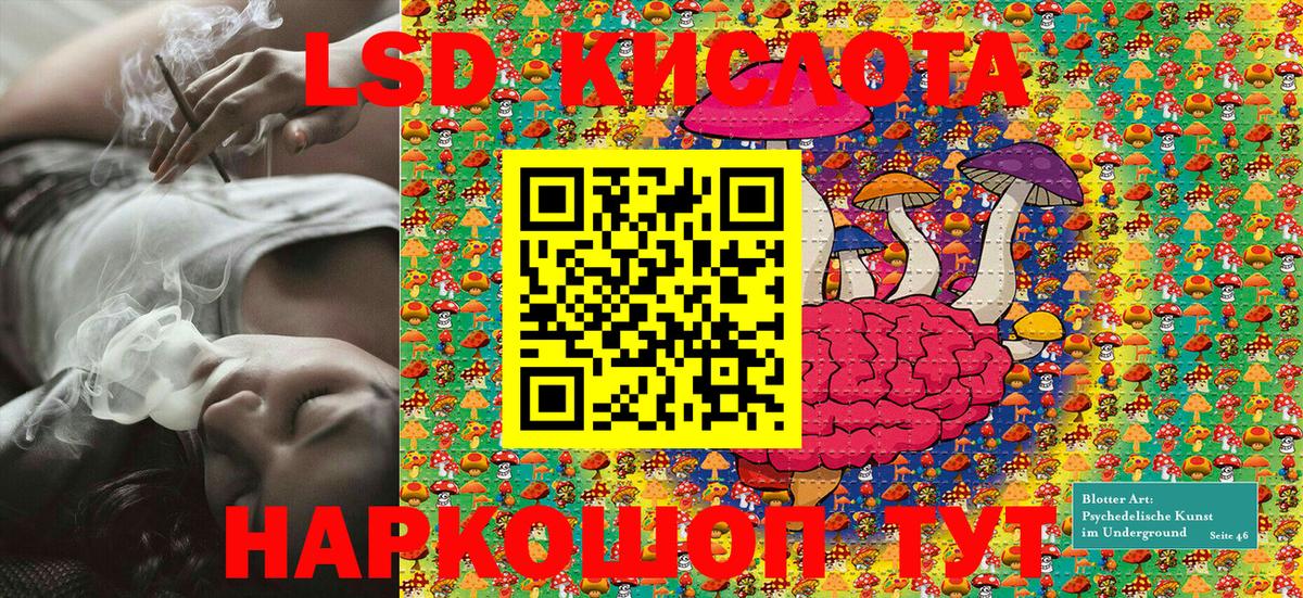 Галлюциногенные грибы Абинск