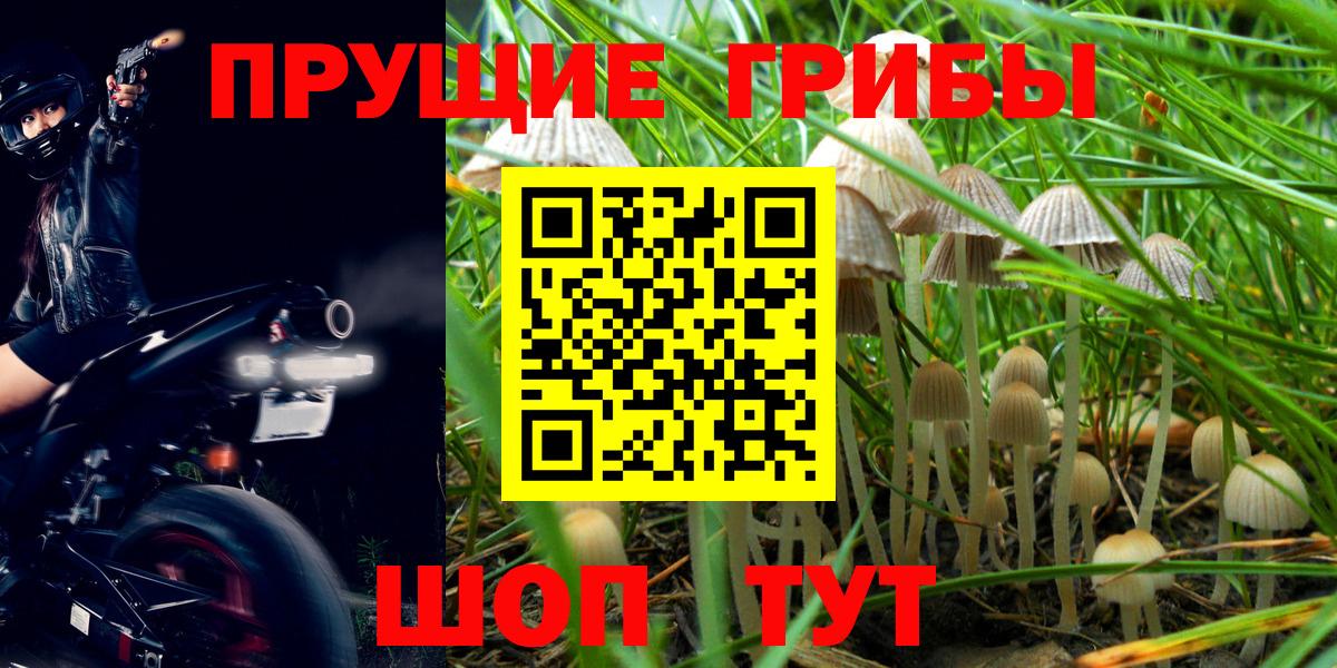 Галлюциногенные грибы ЛСД  Абинск  Псилоцибиновые грибы ЛСД 