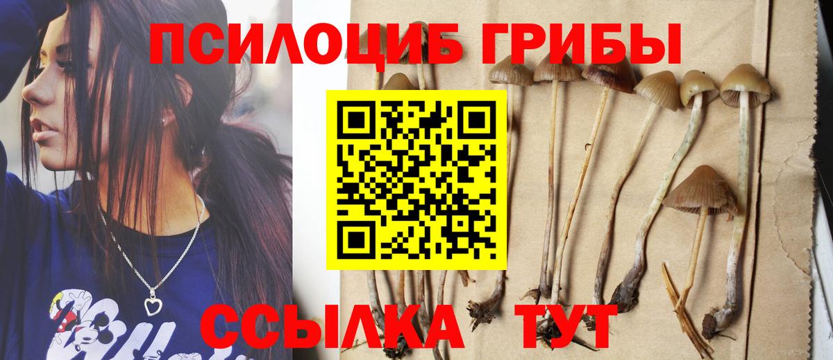 Галлюциногенные грибы прущие грибы Абинск