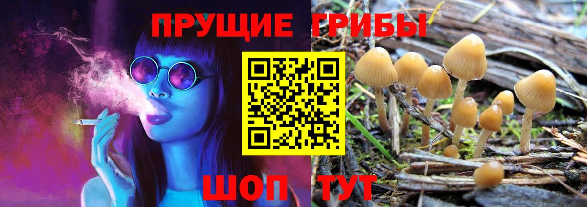 Псилоцибиновые грибы Cubensis  Вход с VPN  Абинск 