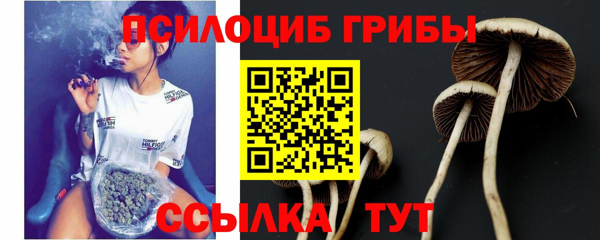 Галлюциногенные грибы Magic Shrooms Абинск