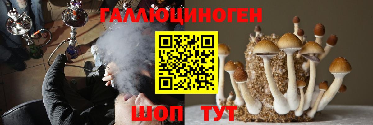 Галлюциногенные грибы прущие грибы Абинск