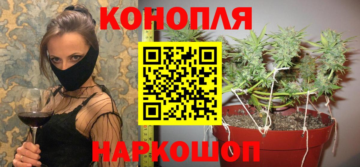 Каннабис гибрид  Каннабис OG Kush  Абинск  Канабис MAZAR  Марихуана семена 